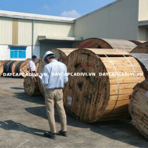 DAYCAPCADIVI - Đại lý cấp 1 dây cáp điện CADIVI chính hãng