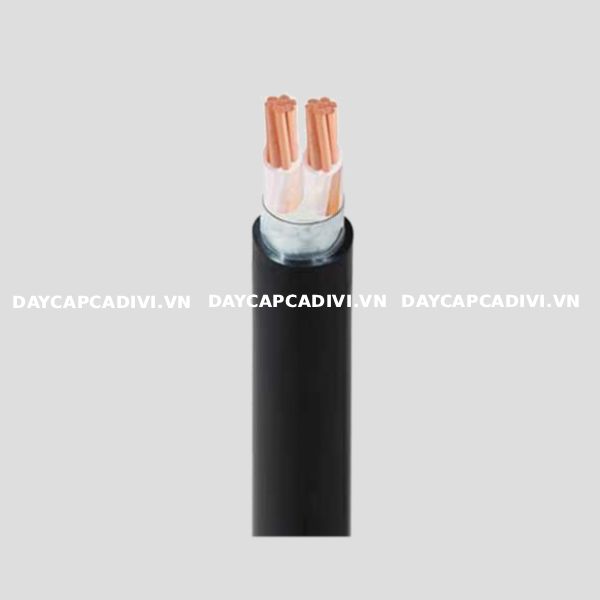 Cáp CXV/DSTA 2 lõi CADIVI