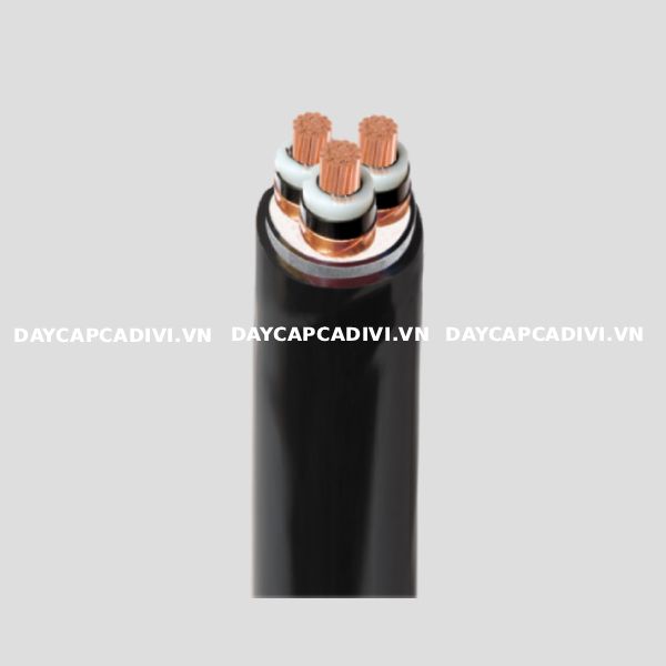 Cáp CXV/DSTA 3 lõi CADIVI