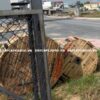 Cáp CXV/DSTA 4x10 CADIVI ngầm hạ thế 0,6/1KV