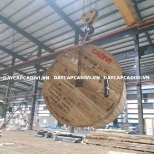 Cáp CXV/SE/DSTA 300mm2 3 lõi CADIVI 0,6/1KV