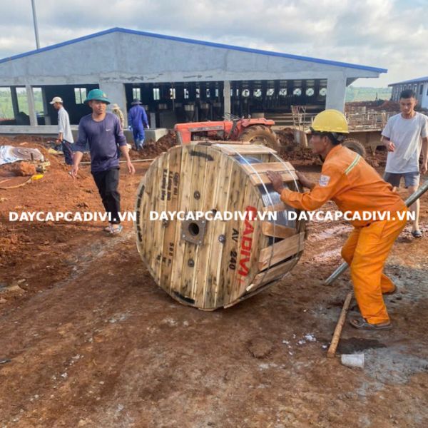 Cung cấp cáp AV 240 mm2 CADIVI giá tốt, chiết khấu cao