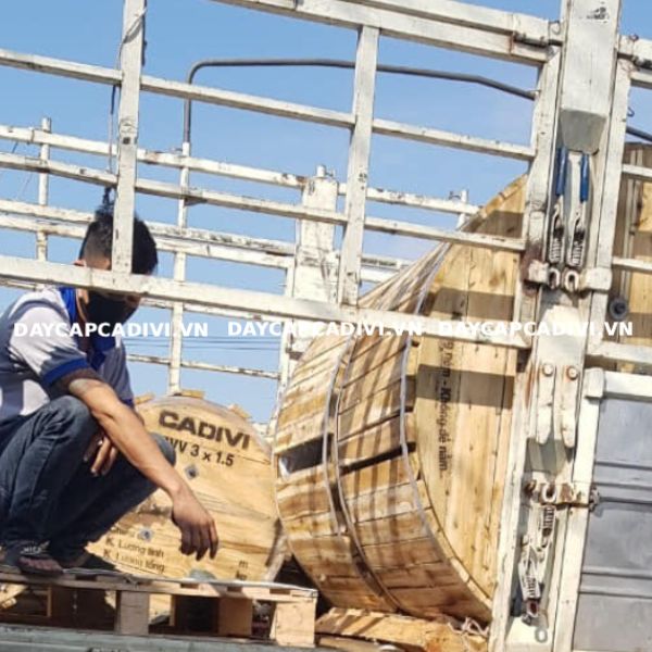 Dây cáp CVV 1.5mm2 3 lõi CADIVI (3x1.5) hạ thế 0,6/1KV