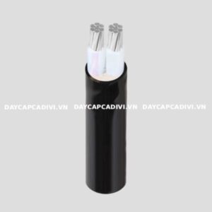 Dây cáp điện AXV CADIVI bọc nhôm hạ thế 2 lõi
