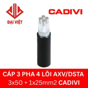 Cáp 3 pha 4 lõi AXV/DSTA 3x50 + 1x25mm2 CADIVI 0,6/1KV