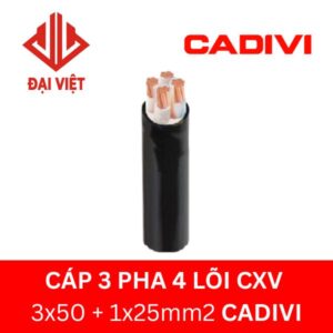 Cáp 3 pha 4 lõi CXV 3x50 + 1x25mm2 CADIVI 0,6/1KV