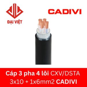 Cáp 3 pha 4 lõi CXV/DSTA 3x10 + 1x6mm2 CADIVI 0,6/1KV