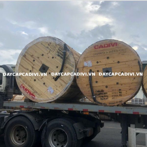 Cáp CXV/DSTA 3 pha 4 lõi 3x240 + 1x120 CADIVI 0,6/1KV