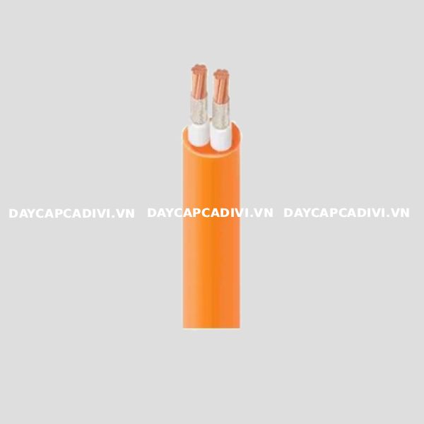 Cáp CXV/FRT 2 lõi CADIVI