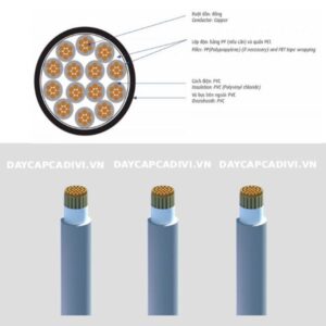 Cấu tạo cáp điều khiển DVV CADIVI 2 đến 37 lõi hạ thế 0,6/1KV