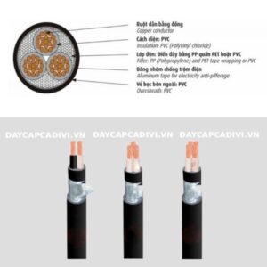Cấu tạo dây cáp điện kế Muller DK CVV 2 lõi 3 lõi 4 lõi CADIVI 0,6/1KV