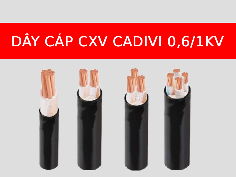 Dây cáp CXV CADIVI hạ thế 0,6/1KV loại 1 lõi, 2 lõi, 3 lõi, 4 lõi