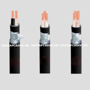 Dây cáp điện kế Muller DK CVV 2 lõi 3 lõi 4 lõi CADIVI 0,6/1KV