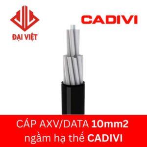 Cáp AXV/DATA 10mm2 CADIVI 0,6/1KV ngầm hạ thế