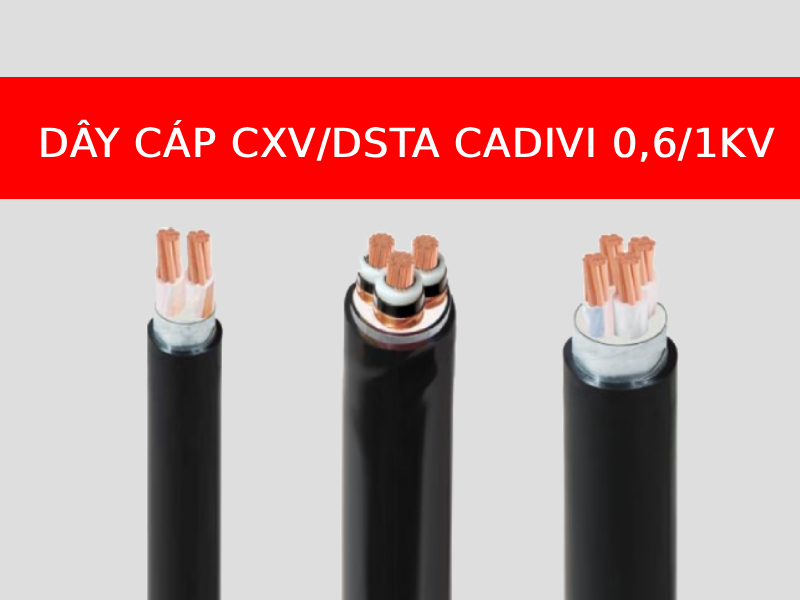 Dây cáp CXV/DSTA ngầm hạ thế 0,6/1kV