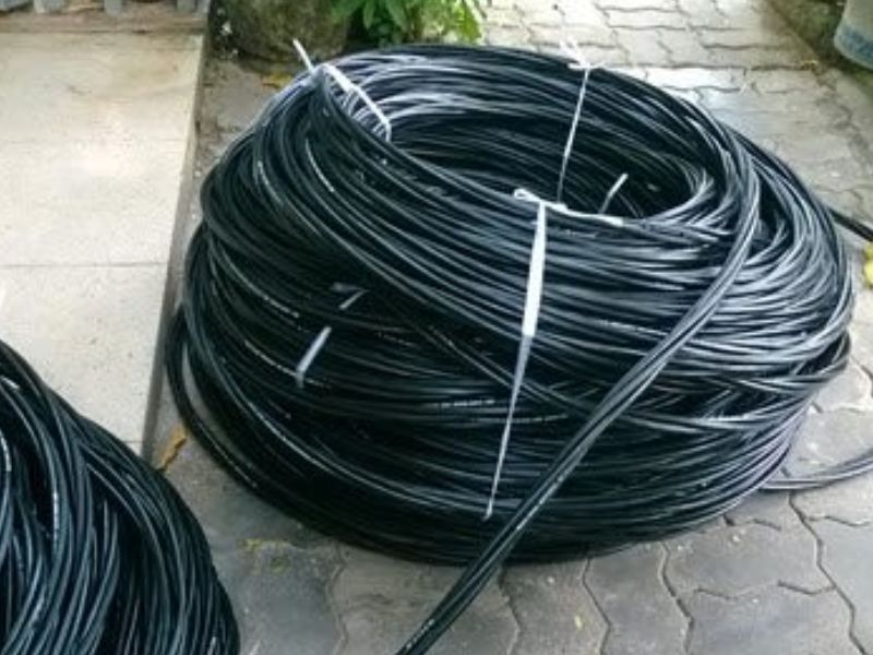 So sánh hiệu suất lâu dài