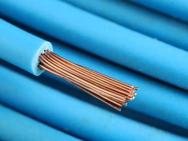 Tuổi thọ và khả năng chống oxy hóa