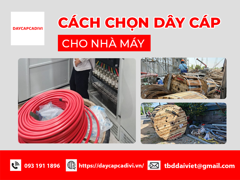 Cách chọn cáp điện cho nhà máy chuẩn kỹ thuật, tối ưu chi phí