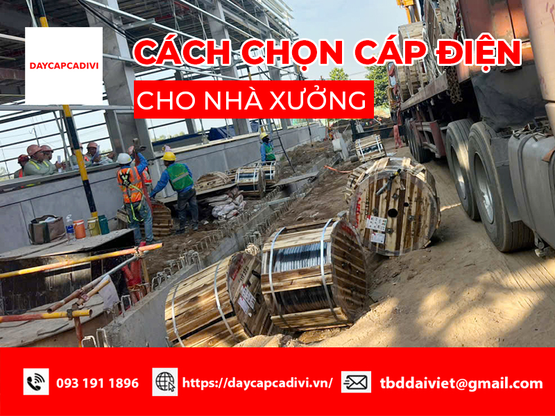 Cách chọn cáp điện cho nhà xưởng chuẩn kỹ thuật, tiết kiệm chi phí tốt nhất