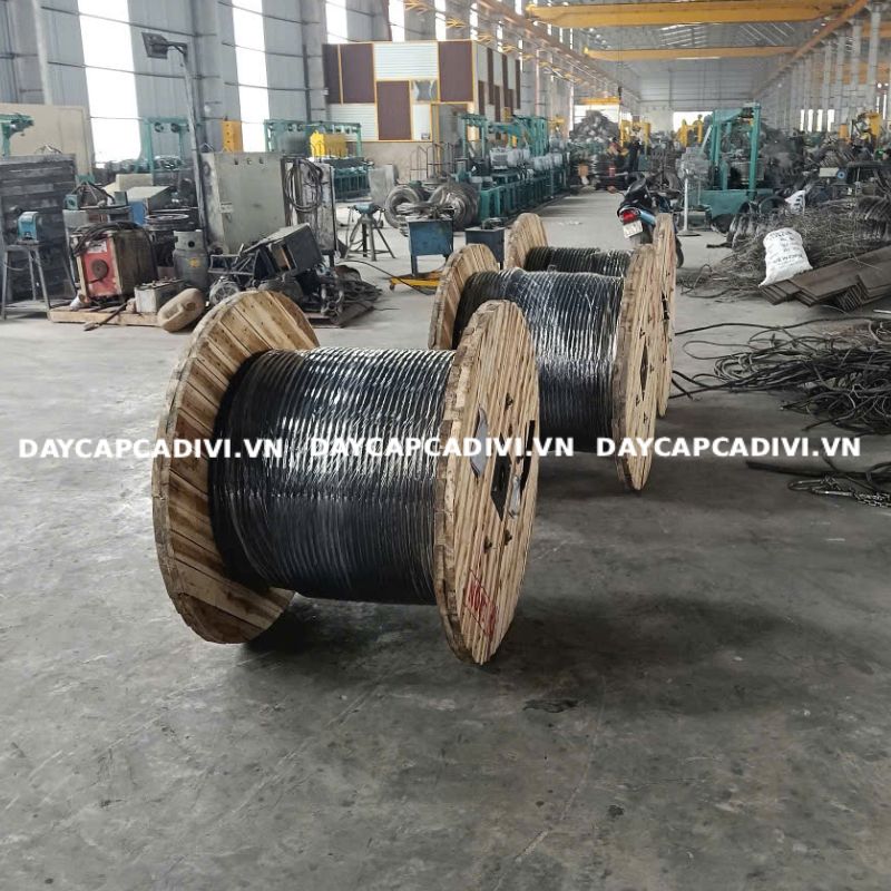 Đại lý cáp Lion khu vực miền Nam, miền Tây giá tốt