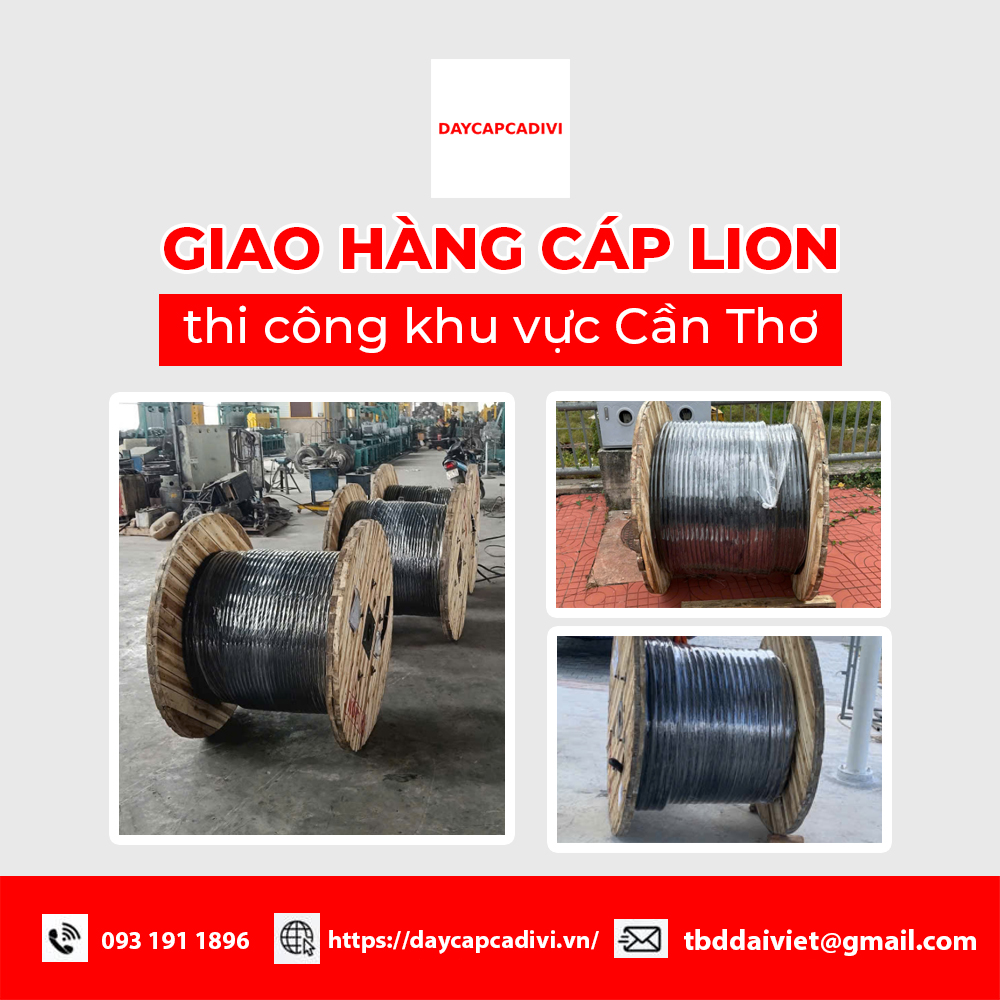 Giao hàng cáp Lion khu vực Cần Thơ
