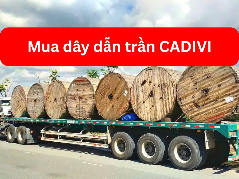Mua Dây Dẫn Trần CADIVI TPHCM Ở Đâu Uy Tín