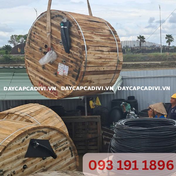 Năng lực cung ứng thực tế của đại lý cấp 1 DaycapCADIVI
