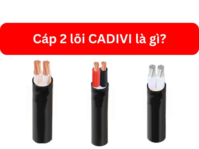 Cáp 2 Lõi CADIVI Là Gì Cấu Tạo Và Tiêu Chuẩn Kỹ Thuật Chi Tiết