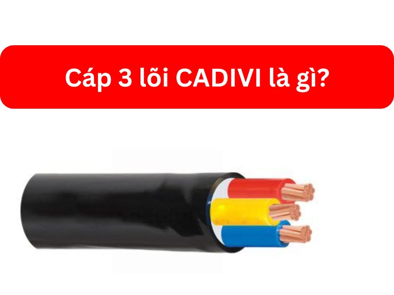 Cáp 3 Lõi CADIVI Là Gì Cấu Tạo Và Tiêu Chuẩn Kỹ Thuật Chi Tiết