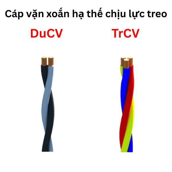 Cáp vặn xoắn hạ thế chịu lực treo (Mã hiệu Duplex DuCV & Triplex TrCV)