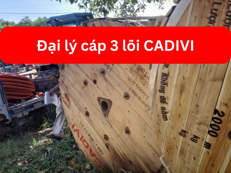 Đại Lý Cáp 3 Lõi CADIVI TPHCM Giá Tốt Nhất – Chiết Khấu Cao