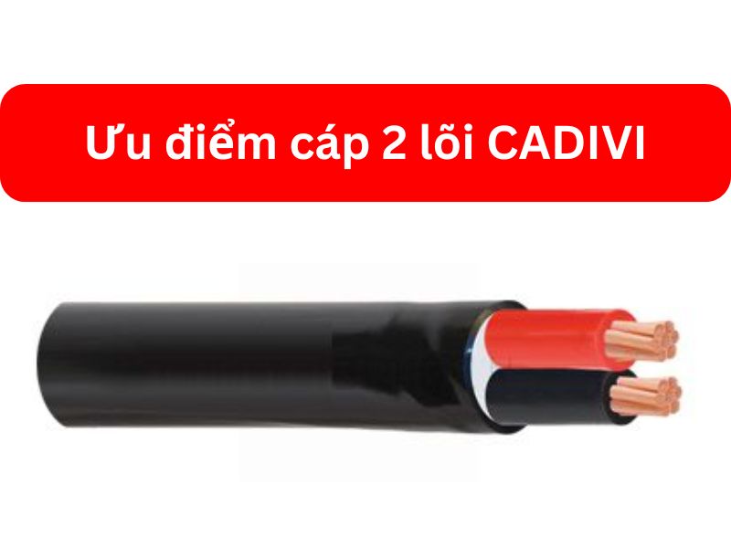 Ưu Điểm Cáp 2 Lõi CADIVI