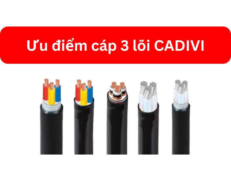Ưu Điểm Cáp 3 Lõi CADIVI Được Cập Nhật Đầy Đủ Nhất
