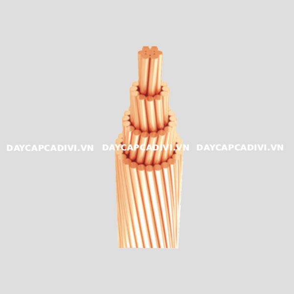 Cáp đồng trần xoắn C Thăng Long