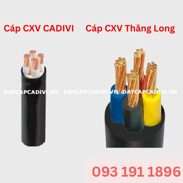 So sánh cáp CXV CADIVI và cáp CXV Thăng Long chi tiết nhất