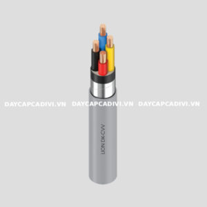 Dây cáp điện kế Muller DK CVV DAPHACO