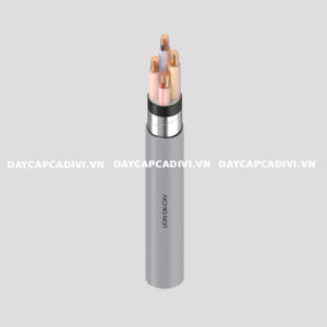Dây cáp điện kế Muller DK CXV DAPHACO