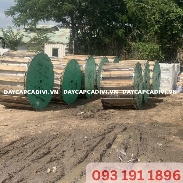 Daycapcadivi Giao Hàng Cáp LV ABC 3x120 Thăng Long Dự Án Long An