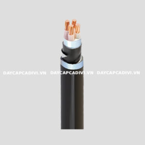 Dây cáp CXV/DSTA LS VINA