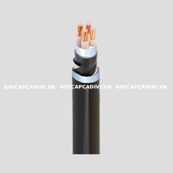Dây cáp CXV/DSTA LS VINA
