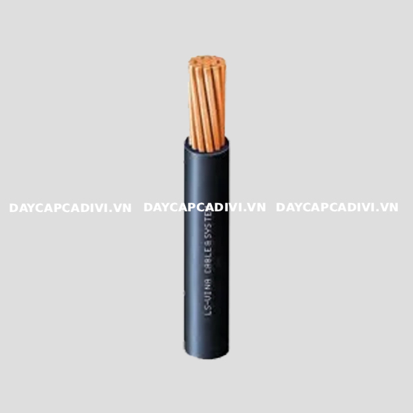 Dây cáp CXV LS VINA